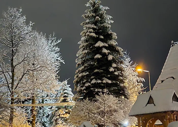 民宿 威拉波特林巴米酒店